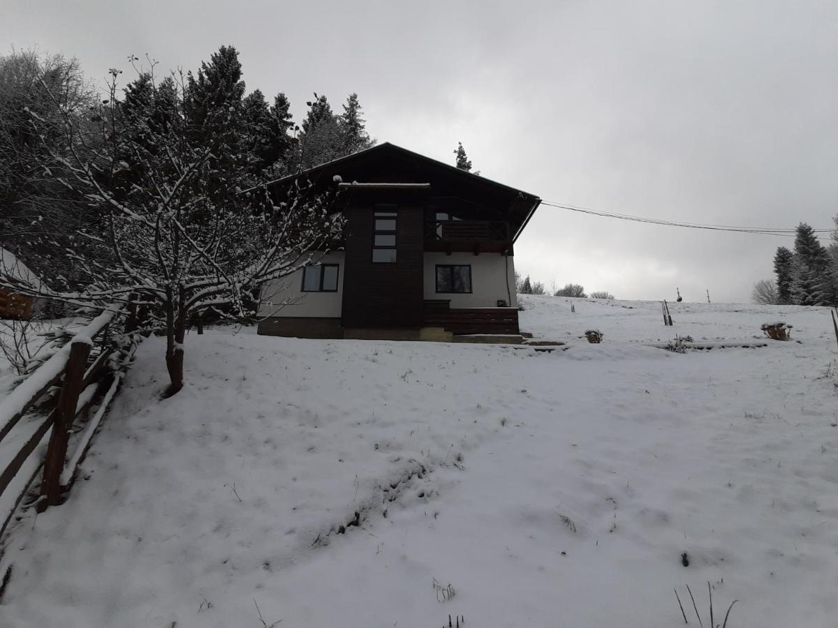 Під Боржавою Pilipets Exteriér fotografie