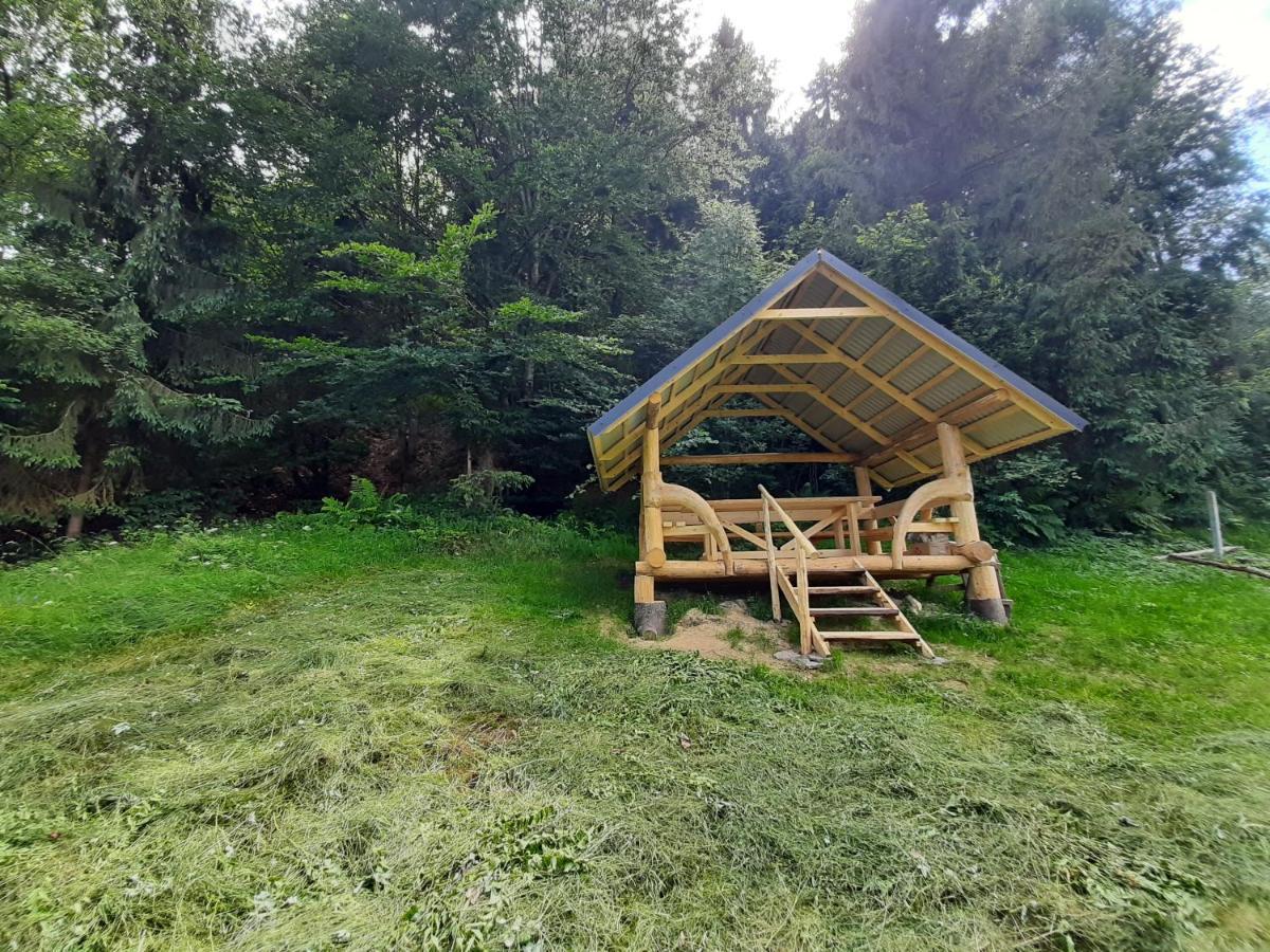 Під Боржавою Pilipets Exteriér fotografie